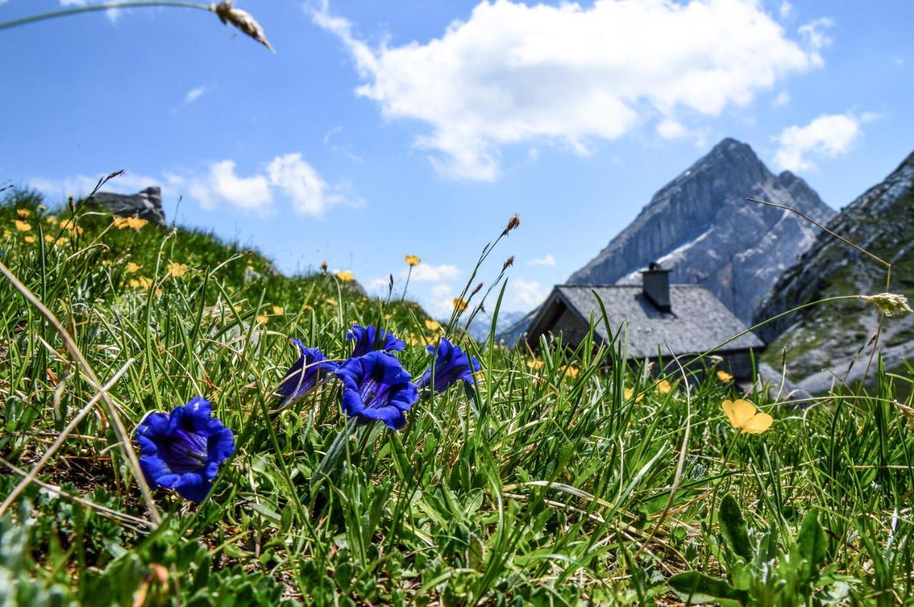 Schönau am Königssee Ferienwohnung Gruenstein מראה חיצוני תמונה